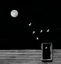 Ölüm denilen nedir ki? - Dr.Mustafa Ulusoy