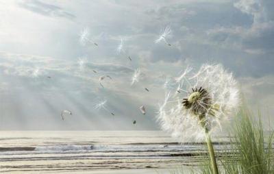 Meğer meleklere aç/mış menekşeler - Senai Demirci