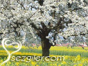 Yarınım bugünüm içindedir - Selim Gündüzalp