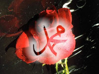 Sonsuz Rahmetten gelen... - Selim Gündüzalp