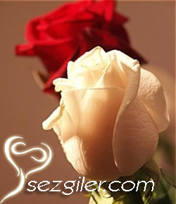 Sessizlik Sır Saklamaz - Kemal Sayar