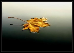 Ölüm gelip çatmadan - Şaban Döğen