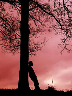 Asrın Komedyeni (Asrın Adamı) - Mevlüt Çetin