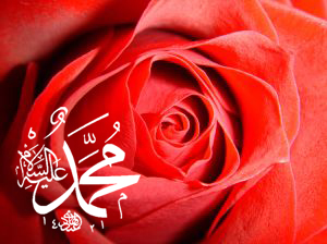 Hz.Muhammed SAV hatlı Kırmızı Gül