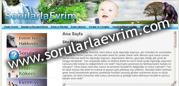 Sorularla Evrim